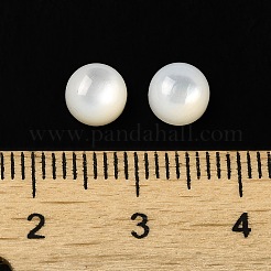 天然石ホワイトシェルカボション  半円/ドーム  ホワイトスモーク  6x3.5mm&nbsp;SSHEL-M022-01A