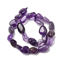 Natural Amethyst Beads Strands&nbsp;G-P601-A04-02
