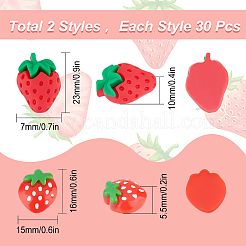 60Pcs 2 Style Resin Cabochons&nbsp;CRES-SC0002-36