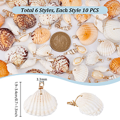 60Pcs 6 Styles Natural Mixed Shell Pendants&nbsp;PALLOY-PH01907