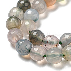 Natural Agate Beads Strands&nbsp;G-C082-A01-08