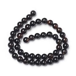 Natural Black Onyx Beads Strands&nbsp;G-L555-04-8mm