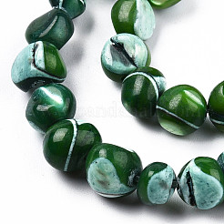 Natural Trochid Shell/Trochus Shell Beads Strands&nbsp;SSHEL-N032-48-A04