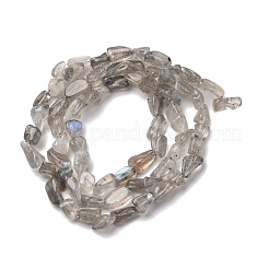 天然石ラブラドライトビーズ連売り  ナゲット  5~9x4~6x3~4.5mm  穴：0.7mm  約75~89個/連  15.35''（39cm）〜15.94''（40.5cm）&nbsp;G-I389-A35-01B