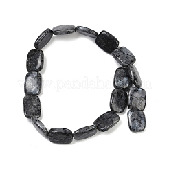 Natural Larvikite Beads Strands&nbsp;G-U018-H08-01