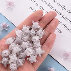 Transparent Acrylic Beads&nbsp;TACR-S152-11A-06