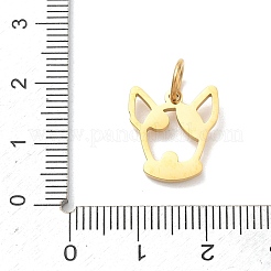 Autumn 304 Stainless Steel Pendants&nbsp;STAS-C180-01E-G