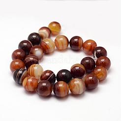 Natural Striped Agate/Banded Agate Bead Strands&nbsp;G-K155-A-14mm-07