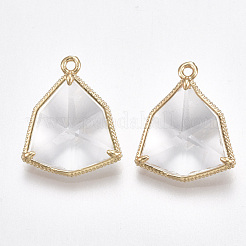 ガラスチャーム  真鍮パーツ  多面カット  異異形態  ゴールドカラー  透明  21.5x18x8mm  穴：1.5mm&nbsp;GLAA-S179-15