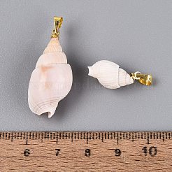 真鍮と天然の螺旋状の貝殻のペンダント  巻貝チャーム  ライトゴールド  貝殻色  16~34x8~19x8~17mm  穴：4~5x3.5mm&nbsp;SHEL-Q029-18KCG