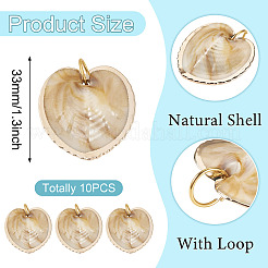 10Pcs Natural Shell Pendants&nbsp;PALLOY-TAC0204
