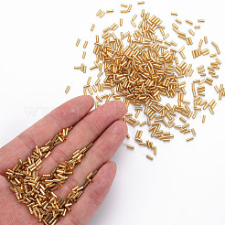Plated Glass Bugle Beads&nbsp;SEED-S046-01A-22B