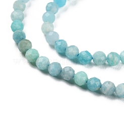 Natural Amazonite Beads Strands&nbsp;G-P500-01B-01