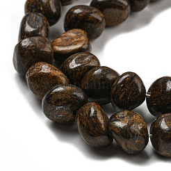 Natural Bronzite Beads Strands&nbsp;G-D081-A11-01