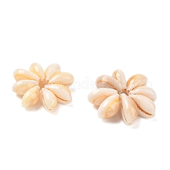 Natural Cowrie Shell Beaded Beads&nbsp;SH-CBACA76-06