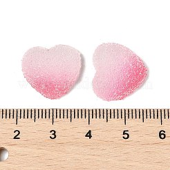 Imitation Candy Food Style Resin Cabochons&nbsp;LS-RESI-R461-01G