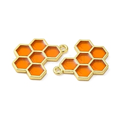 10Pcs Alloy Pendants&nbsp;ENAM-YW0002-55