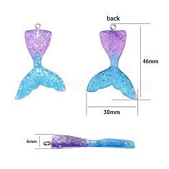 Resin Pendants&nbsp;CRES-SC0001-04