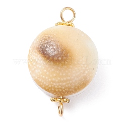 Natural Trumpet Shell Bead Links Connectors&nbsp;PALLOY-JF01298