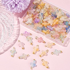 100Pcs Acrylic Pendant&nbsp;PALLOY-FS00039-02