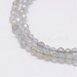 Natural Labradorite Beads Strands&nbsp;G-E347-14