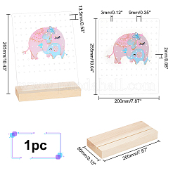 Acrylic Display Stands&nbsp;ODIS-WH0027-027