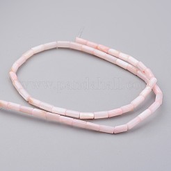 Natural Shell Bead Strands&nbsp;BSHE-P016-02