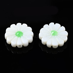 天然淡水シェルビーズ  エナメル  花  淡緑色  12~13x3~4mm  穴：0.9mm&nbsp;SHEL-N026-143A-149C