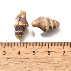 手作りの陶器ビーズ  巻き貝  ビスク  20x10.5x10mm  穴：1.8mm&nbsp;PORC-H013-03-03
