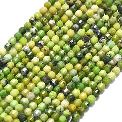Natural Serpentine Beads Strands&nbsp;G-A260-A15-01