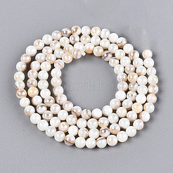 AB Color Natural Freshwater Shell Beads Strands&nbsp;BSHE-T014-40D