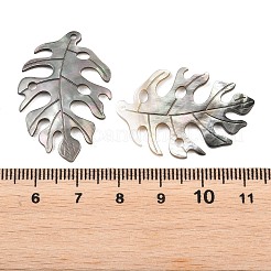Natural Black Lip Shell Pendants&nbsp;SHEL-R100-07A-1