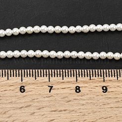 電気めっきシェルパールビーズ連売り  ラウンド  ホワイト  2.5mm  穴：0.5mm  約155個/連  15.83''（40.2センチメートル）&nbsp;BSHE-K017-2.5mm