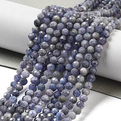Natural Tanzanite Beads Strands&nbsp;G-G161-A14-03