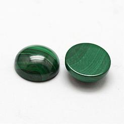 ドームの天然マラカイトのカボション  10x4~5mm&nbsp;G-O146-03D