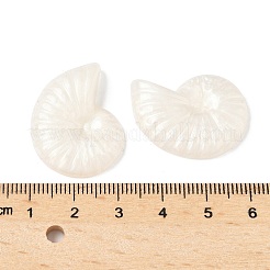 クリア樹脂カボション  巻き貝  フローラルホワイト  28x21.5x5mm&nbsp;CRES-D306-02