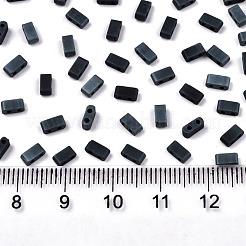 FGB 2-Hole Glass Seed Beads&nbsp;X-SEED-S031-M-SH129F