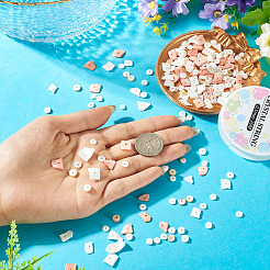 DIY Natural Shell Beads Bracelet Making Kit&nbsp;DIY-CF0001-10