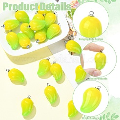 Mango Opaque Acrylic Pendants&nbsp;FIND-CJZ0001-007