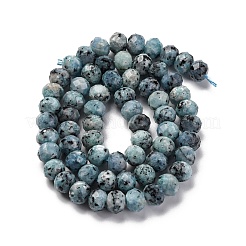 Natural Sesame Jasper Beads Strands&nbsp;G-K380-A18-01