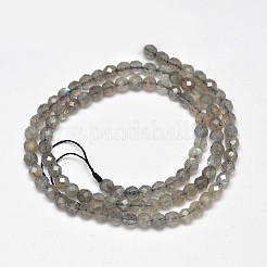 Faceted Round Natural Labradorite Bead Strands&nbsp;G-F289-09