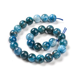 Natural Apatite Beads Strands&nbsp;G-S333-8mm-031A