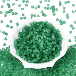 FGB Frosted Transparent Glass Seed Beads&nbsp;SEED-N013-03A-09