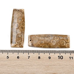 天然の化石のサンゴペンダント  マッチするチャーム  長方形チャーム  40x14x4mm  穴：1.2mm&nbsp;G-B187-01C-08