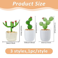 3Pcs 3 Styles Lampwork Cactus Display Decoration&nbsp;DJEW-DC0001-16B
