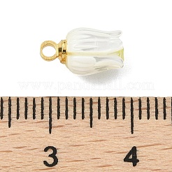Natural Trochid Shell/Trochus Shell Carved Pendants&nbsp;PALLOY-JF05485
