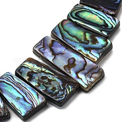 天然パウアシェルビーズ連売り  台形  トップ掘削  カラフル  15.5~28x10~11.5x4~5mm  穴：0.8~0.9mm  約7個/連  2.76''（7センチメートル）&nbsp;BSHE-S305-01A