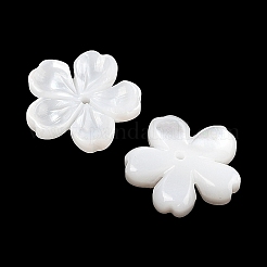 Natural White Shell Carved Beads&nbsp;SSHEL-I026-12D-05