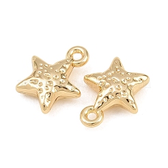 Alloy Charms&nbsp;AL-CBA83D5-07G