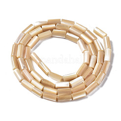Natural Trochid Shell/Trochus Shell Beads Strands&nbsp;SSHEL-S266-020B-01